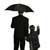 Is Family Succession a Good Idea?